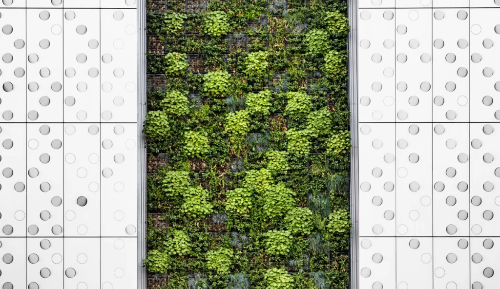 Cos’è un “edificio verde”